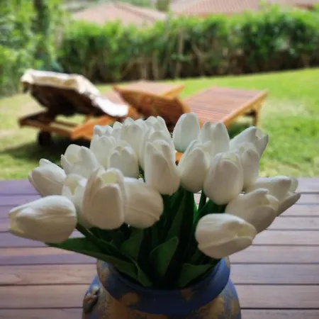 Casa Orziadas Pittulongu - Sea View * オルビア