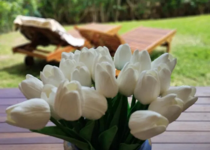 Casa Orziadas Pittulongu - Sea View * Olbia