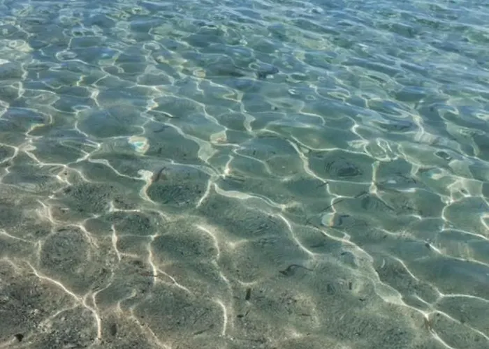 Casa Orziadas Pittulongu - Sea View *