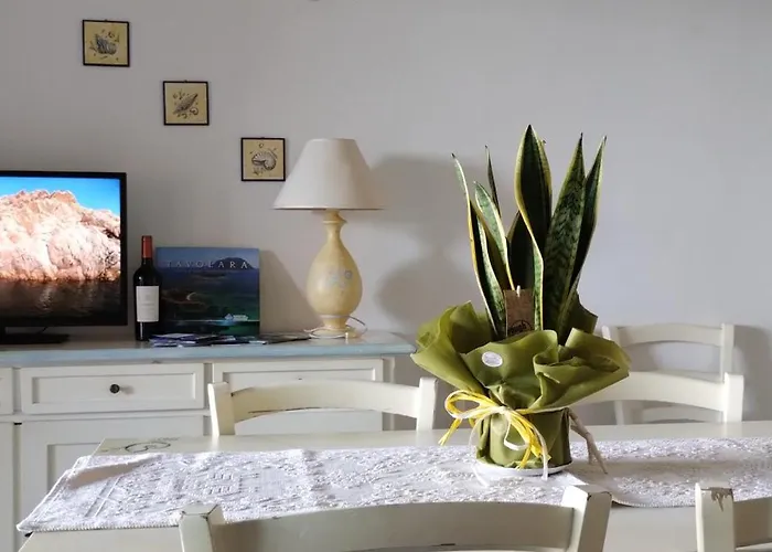 Casa Orziadas Pittulongu - Sea View